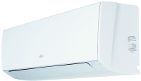 ASYG30LFCA/AOYG30LFT 